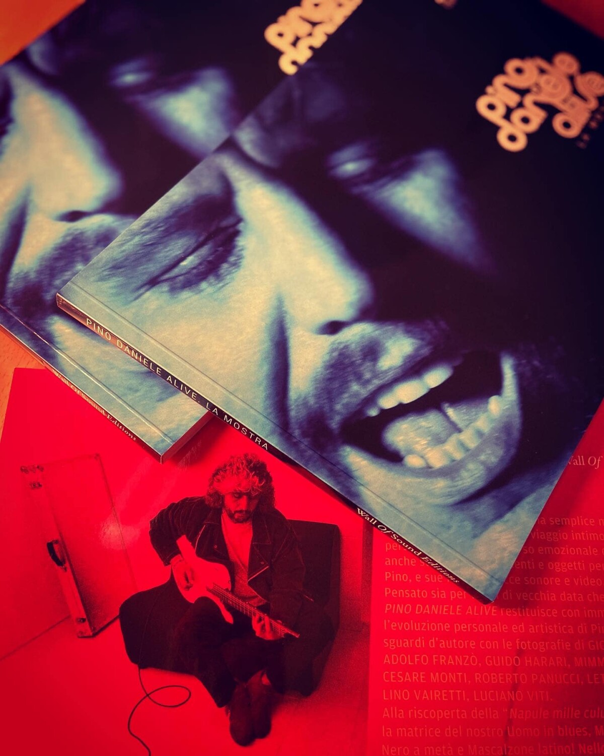Catalogo Mostra Pino Daniele Alive roberto panucci